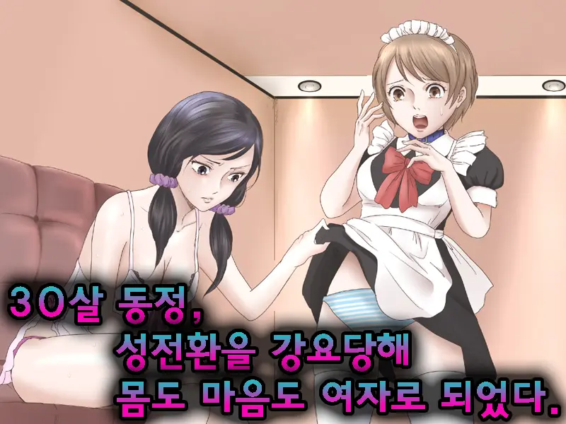 30-Sai Doutei, Seitenkan O Kyouyou Sarete Mi Mo Kokoro Mo Onna Ni Sareta. | 30살 동정, 성전환을 강요당해 몸도 마음도 여자로 되었다.